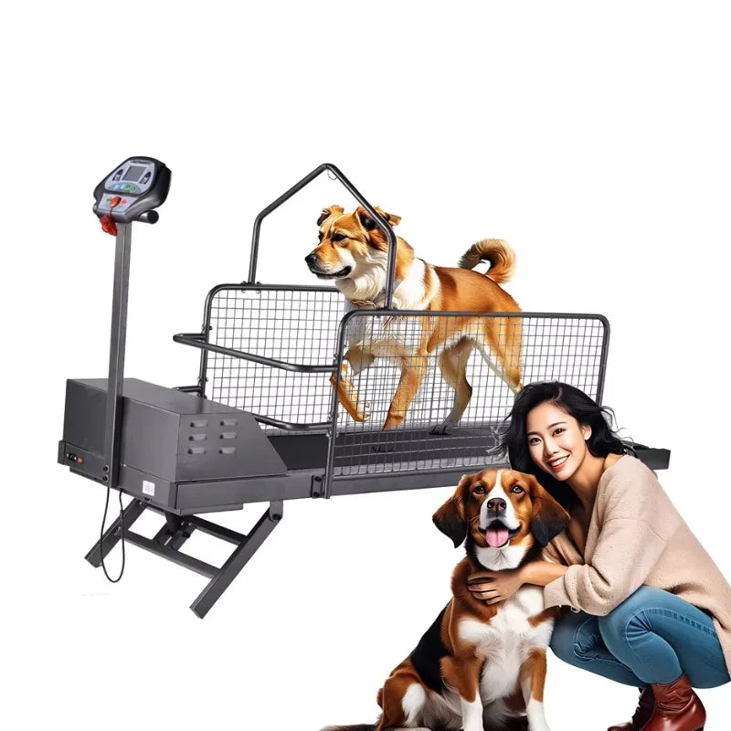 Pet Electric Treadmill for Dog Animal Sport Training Equipment Walking Running Machine Adjustable Incline
