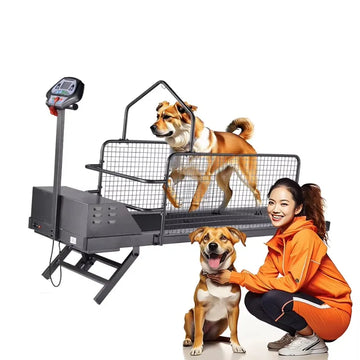 Pet Electric Treadmill for Dog Animal Sport Training Equipment Walking Running Machine Adjustable Incline