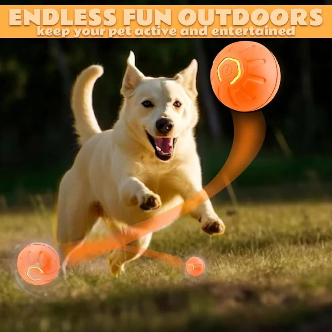 Pet Toys Gravity Electric Amusement Pet Ball Smart Bouncing Ball For Dogs and Cats