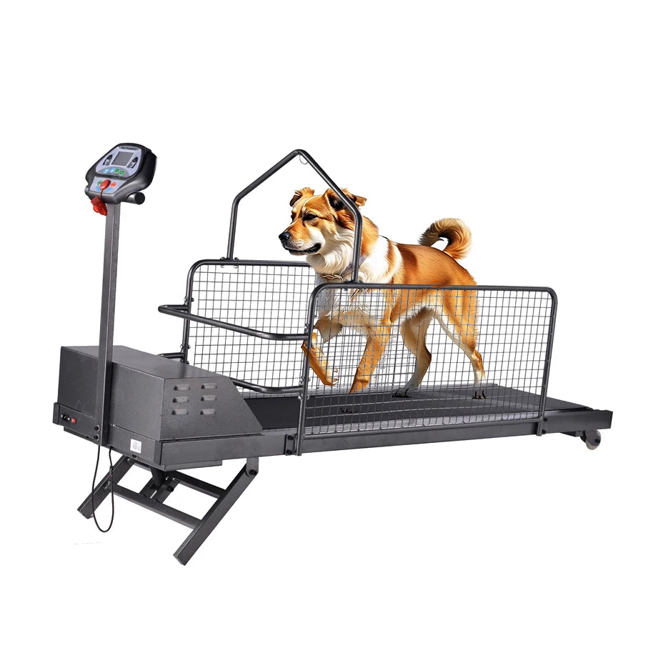 Pet Electric Treadmill for Dog Animal Sport Training Equipment Walking Running Machine Adjustable Incline