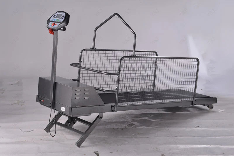 Pet Electric Treadmill for Dog Animal Sport Training Equipment Walking Running Machine Adjustable Incline