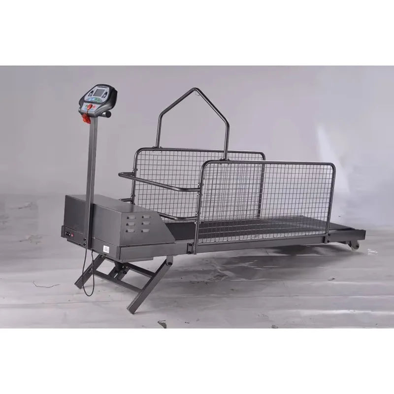 Pet Electric Treadmill for Dog Animal Sport Training Equipment Walking Running Machine Adjustable Incline