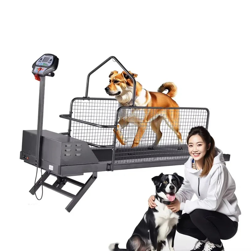 Pet Electric Treadmill for Dog Animal Sport Training Equipment Walking Running Machine Adjustable Incline